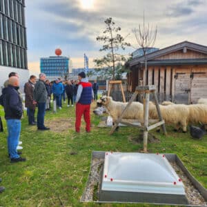 iS2 Teammitglieder auf dem Dach des WERK3